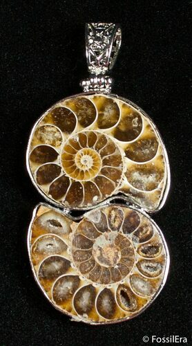 Ammonite Pendant #2710